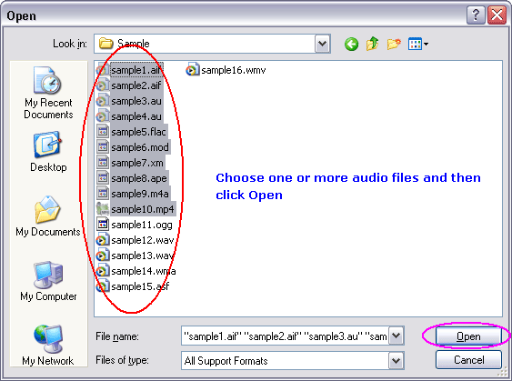 Choose one or more WMV files